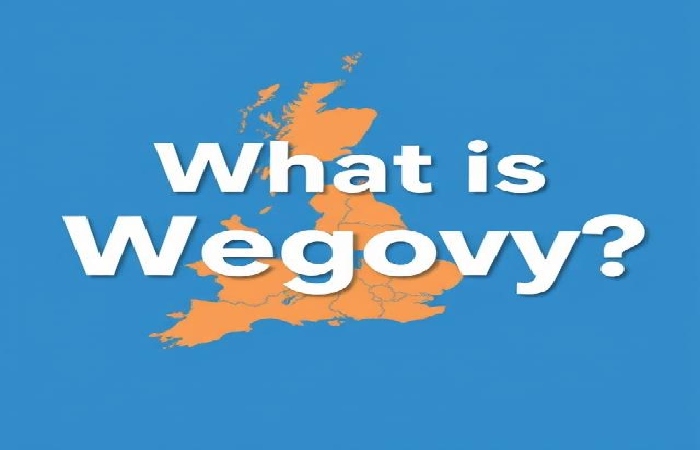 What is Wegovy